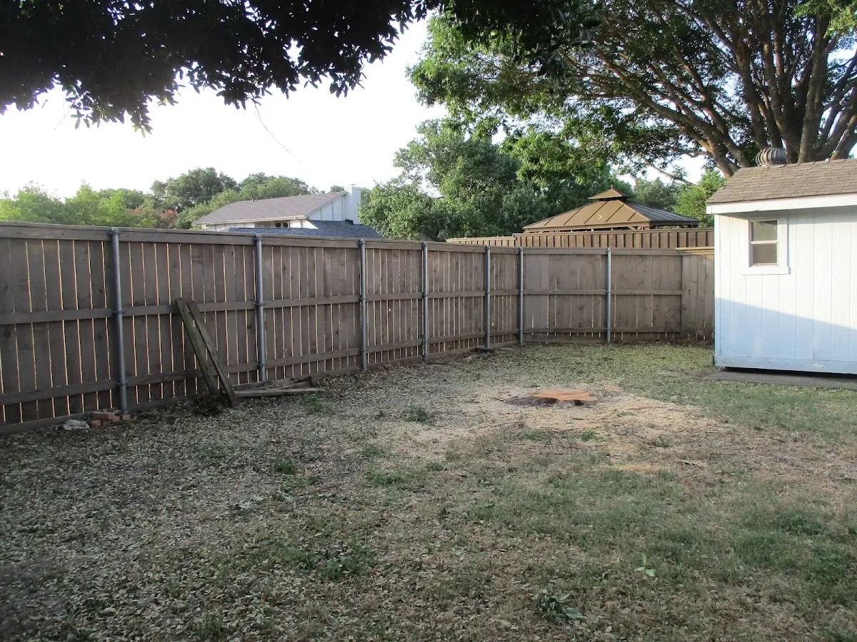 Cleared yard after professional tree removal in Bishopville