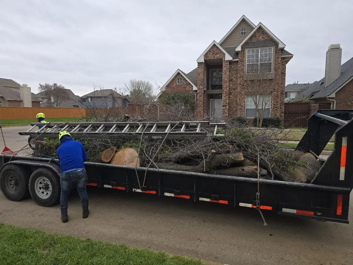 Expert Tree Pest Control with proper safety equipment in Bishopville